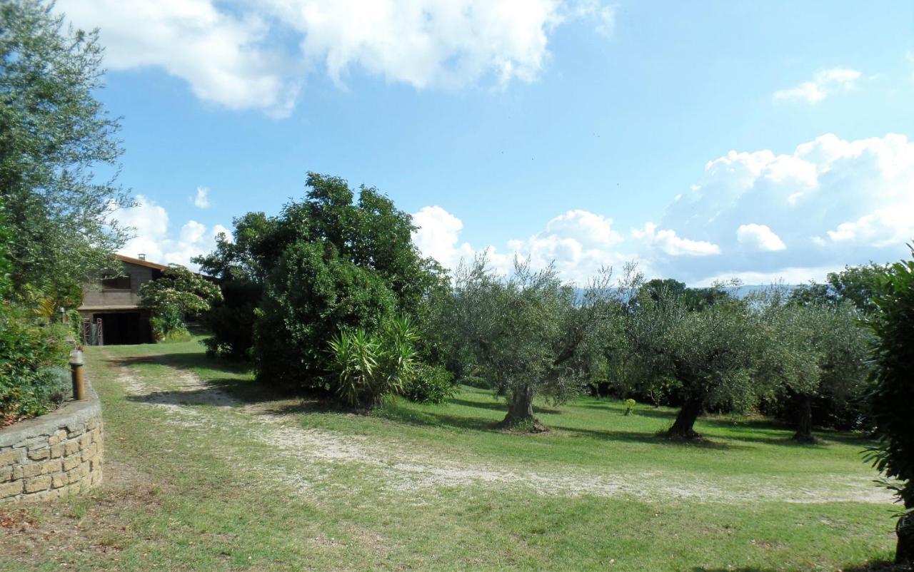 Poggiolindo B&B Capodimonte Eksteriør bilde