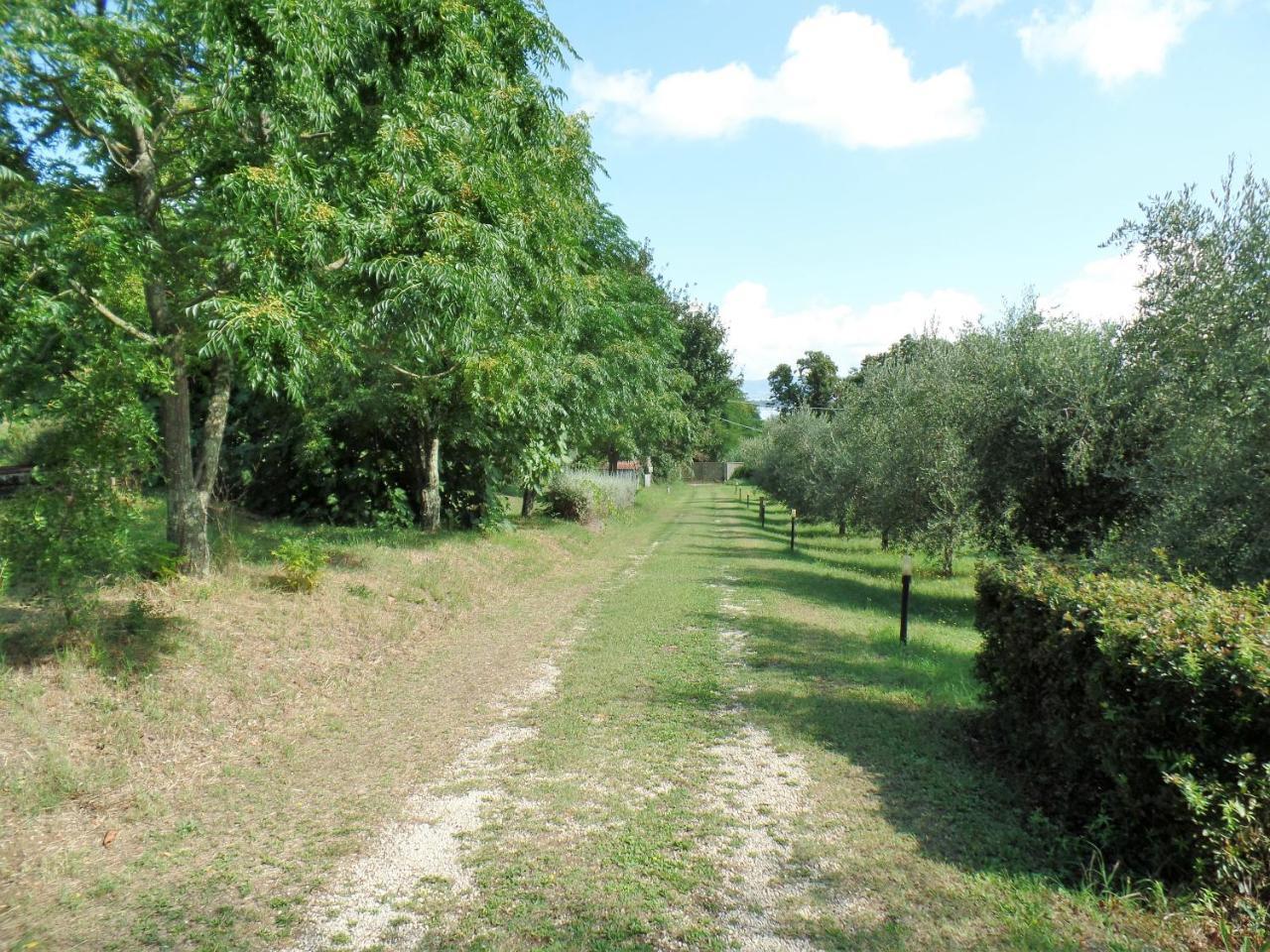 Poggiolindo B&B Capodimonte Eksteriør bilde