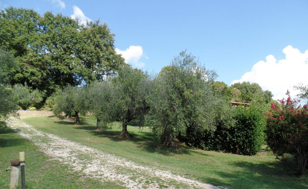 Poggiolindo B&B Capodimonte Eksteriør bilde