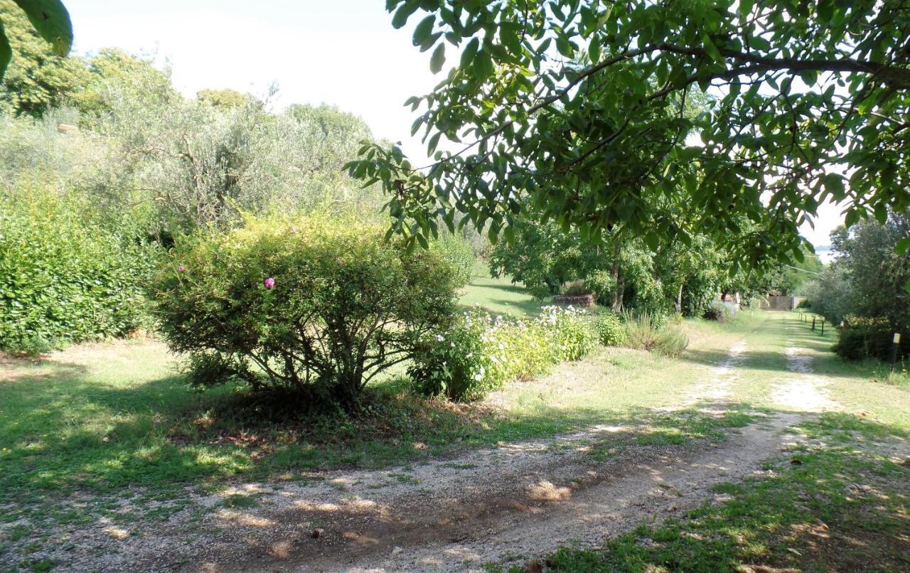 Poggiolindo B&B Capodimonte Eksteriør bilde