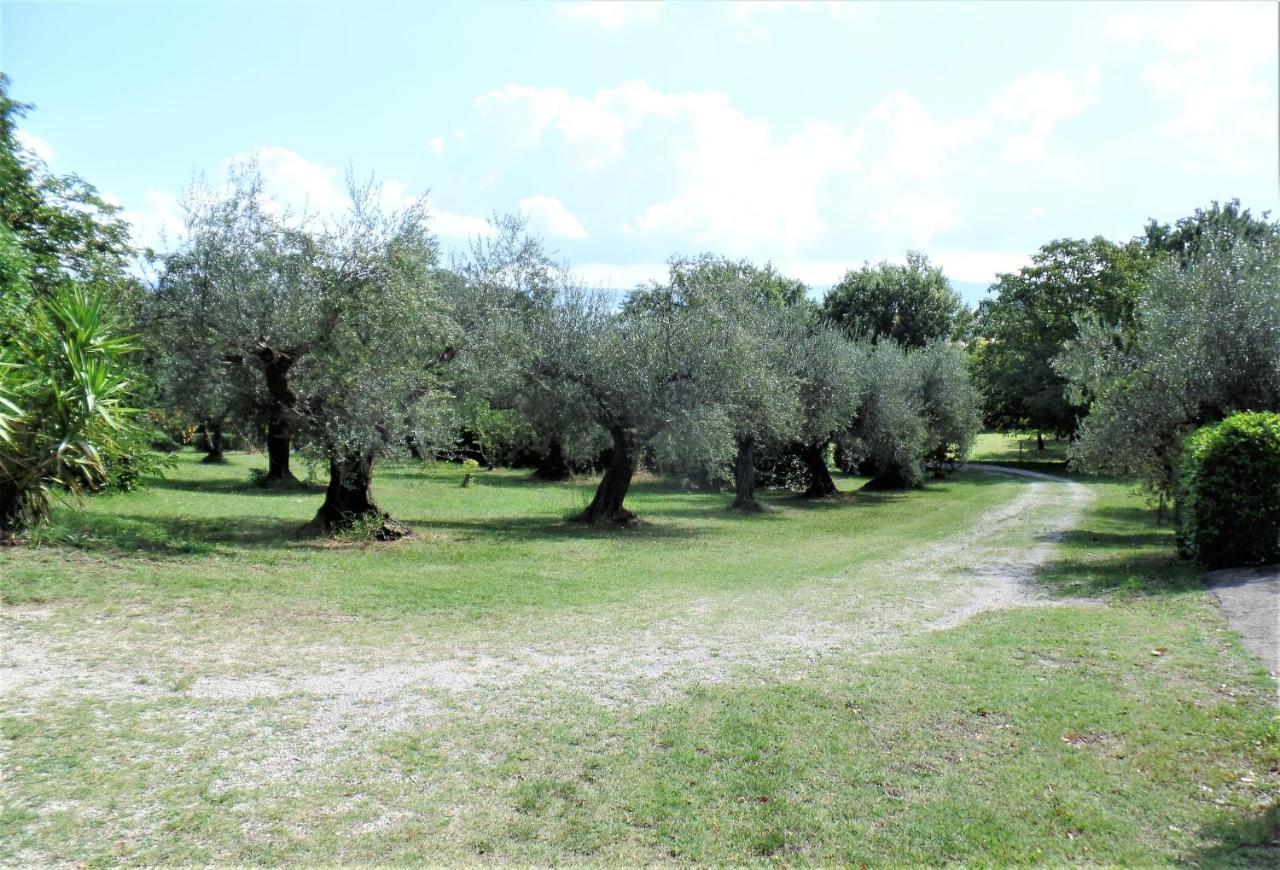 Poggiolindo B&B Capodimonte Eksteriør bilde
