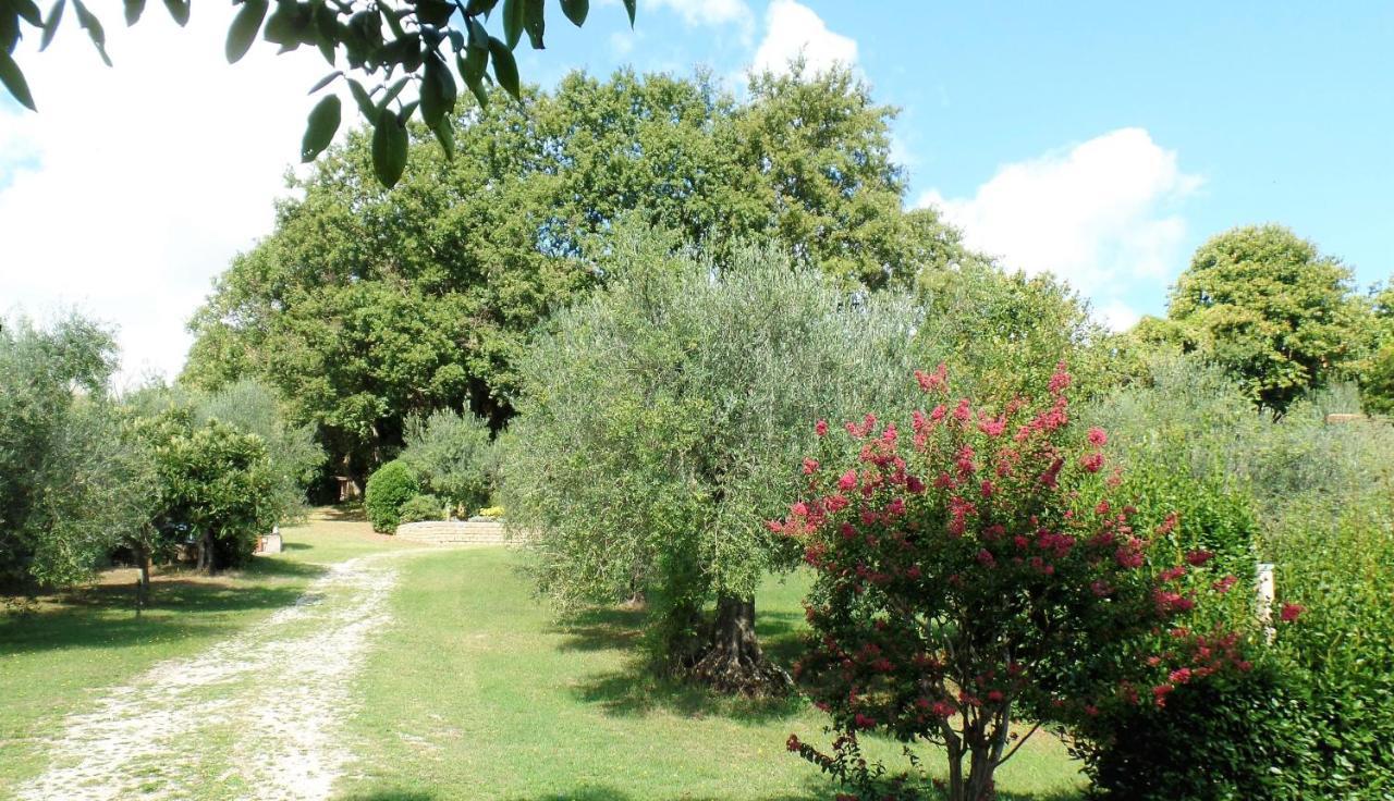 Poggiolindo B&B Capodimonte Eksteriør bilde